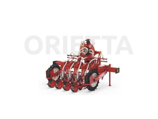 Orietta Series